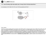 Leber Hereditary Optic Neuropathy Gene Therapy Clinical Trial