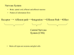 What will happen at this area of membrane?