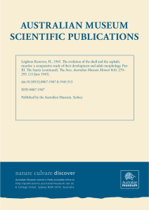 The evolution of the skull and the cephalic muscles