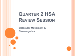 Quarter 2 HSA Review Session