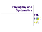 Phylogeny and Systematics