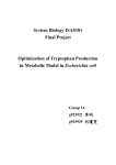 Structure of Tryptophan