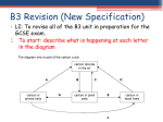 B3 Revision (New Specification)