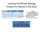 Endocrine System EQ