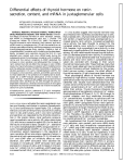 Differential effects of thyroid hormone on renin secretion, content