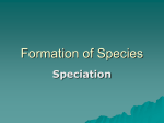 Formation of Species