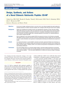 Design, Synthesis, and Actions of a Novel Chimeric Natriuretic Peptide