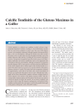 Calcific Tendinitis of the Gluteus Maximus in a Golfer