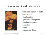 Development and Inheritance