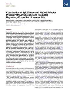 Coactivation of Syk Kinase and MyD88 Adaptor Protein Pathways by