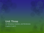 Unit Three