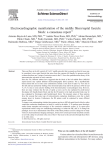 Electrocardiographic manifestation of the middle fibers