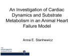 An Investigation of Cardiac Dynamics and Substrate Metabolism in