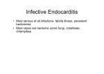 Infective Endocarditis