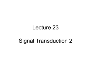 Lecture 23 - Signaling 2
