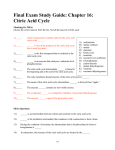 Final Exam Study Guide: Chapter 16: Citric Acid Cycle
