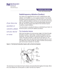 Radiofrequency Ablation (Cardiac)