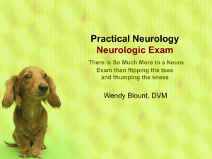 PowerPoint - The Neurologic Exam