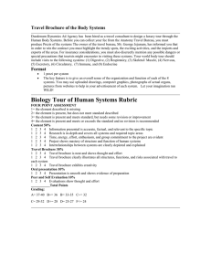Travel Brochure of the Body Systems