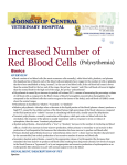 Increased Number of Red Blood Cells (Polycythemia)