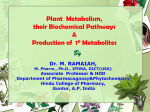Biosynthesis of Plant Primary metabolites
