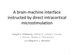 The effects of electrical microstimulation on cortical signal propagation