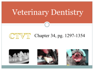 Applied Dentistry for the Veterinary Technician