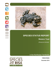 Status Report and Assessment of Western Toad in the NWT (2014)