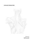 scapular stabilization