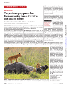 The predator-prey power law: Biomass scaling across terrestrial and