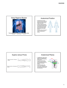 Body Regions Review Anatomical Position Supine versus Prone