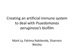 Biofilm - SCIE501Nanobots