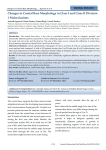 Changes in Cranial Base Morphology in Class I and