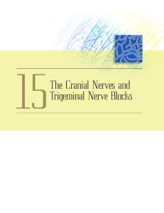 The Cranial Nerves and Trigeminal Nerve Blocks