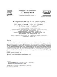 A computational model of the human thyroid