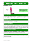 feet and ankle muscles