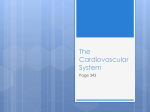 NEW!! PRINT ME!! Cardiovascular and Respiratory Notes File