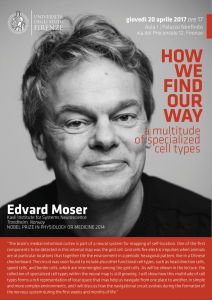 Edvard Moser