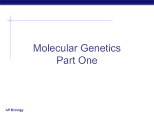 Molecular Genetics