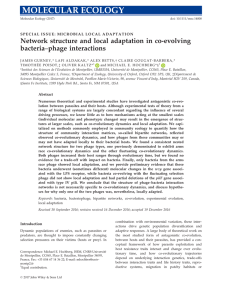 phage interactions - Experimental Evolution of Communities