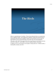 Birds are a specialized type of vertebrate. They are best understood
