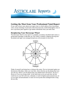 Getting the Most from Your Professional Natal Report