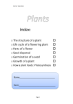 Plants - SupaScience
