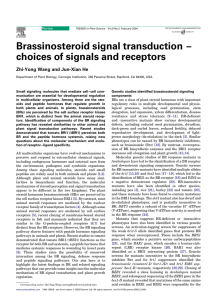 Brassinosteroid signal transduction – choices of signals and receptors