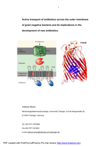 Active transport of antibiotics across the outer membrane of gram