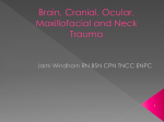Brain, Cranial, Ocular, Maxillofacial and Neck Trauma
