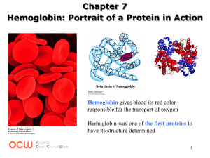 Chapter 7 Hemoglobin: Portrait of a Protein in Action