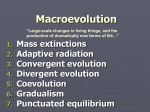 Adaptive Radiation