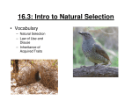 Natural Selection - wlhs.wlwv.k12.or.us