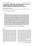 Increased SA in NPR1-silenced plants antagonizes JA and JA